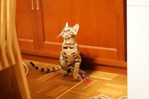 DSC07275c.jpg