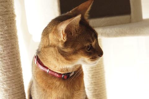 DSC07311c.jpg