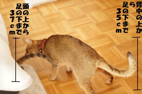 DSC07405c.jpg