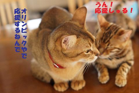 DSC07611c.jpg