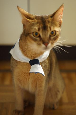 DSC07658.jpg