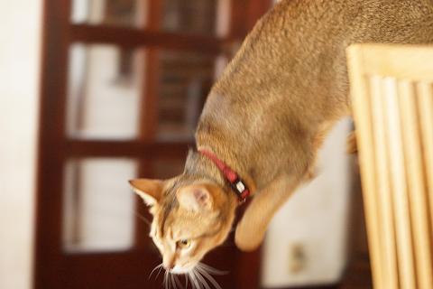 DSC07749c.jpg