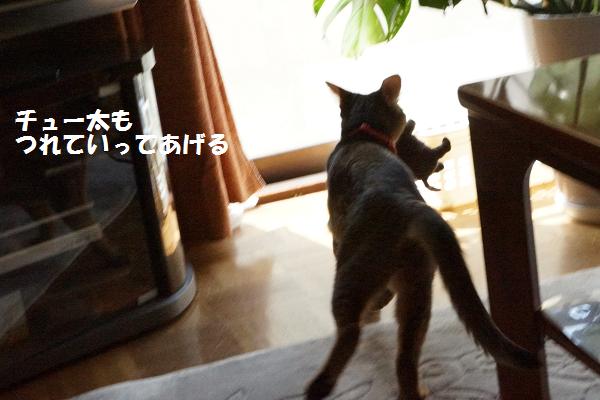 DSC08724.jpg