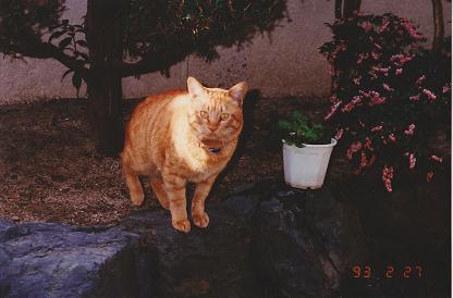 IMG_0002c.jpg