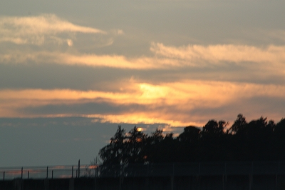 12108537.jpg