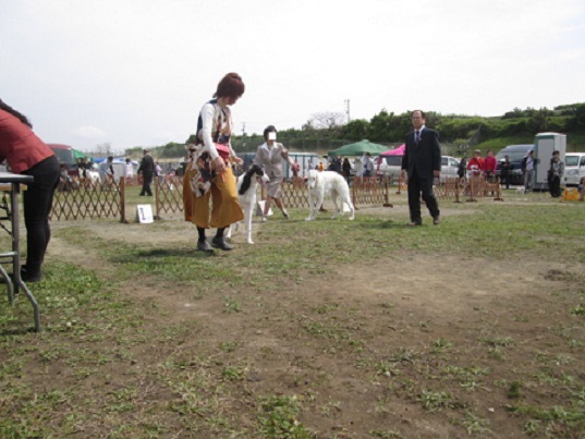 IMG_1137.jpg
