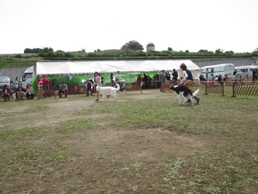 IMG_1146.jpg