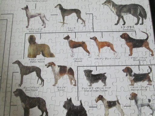 ボルゾイ庵エカテリーナ 犬の系統図やっと完成
