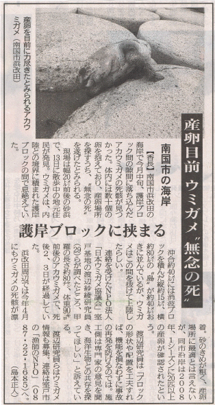 高知新聞