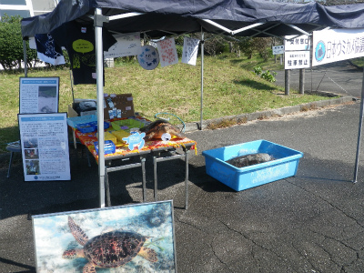 ブース