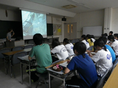 2_20120807144434.jpg