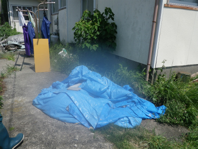 IMGP1044.jpg