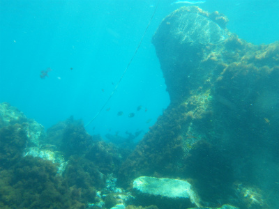 IMGP1592.jpg