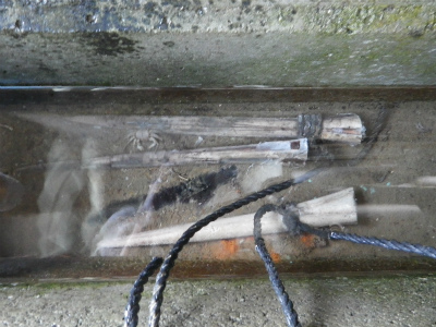 IMGP3737.jpg