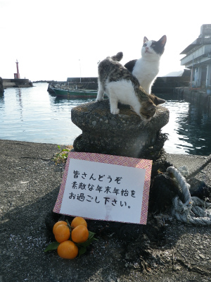 IMGP7285.jpg