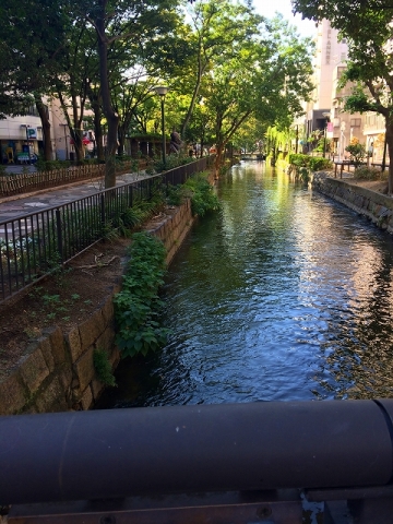 201410102.jpg