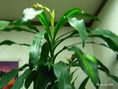 s-IMG_8194.jpg