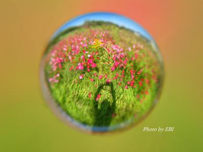 s-IMG_9089.jpg