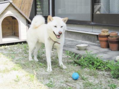 IMG_4748.jpg