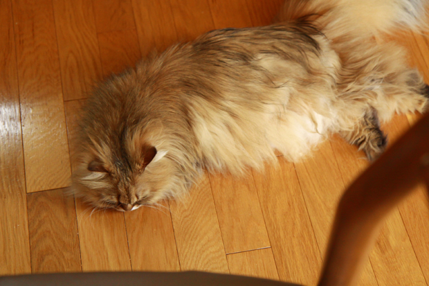 2_20120627110339.jpg