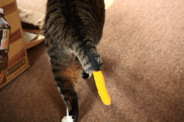 3_20120705012106.jpg