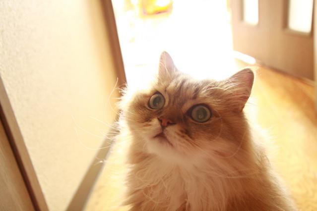 3_20120830093534.jpg