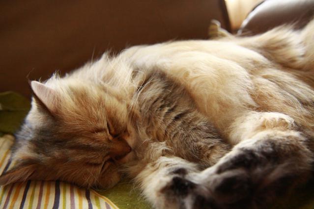 5_20120820000629.jpg