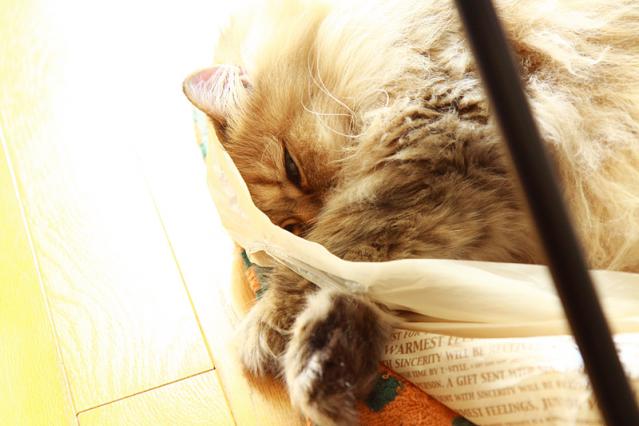 7_20120917150047.jpg