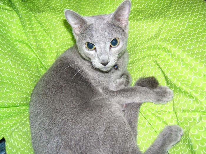 DSCF0016.jpg