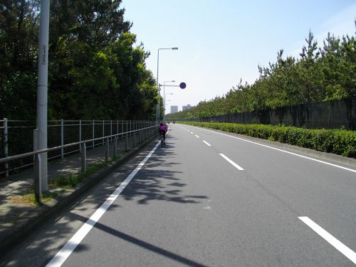 IMGP2092.jpg