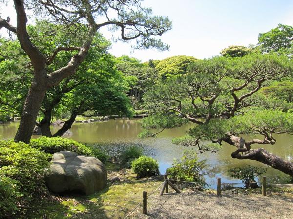 旧古河庭園・日本庭園3〔フリー写真〕