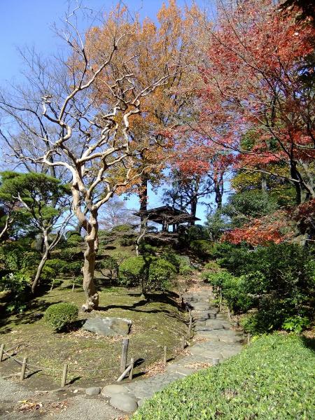 日本庭園7〔フリー写真〕