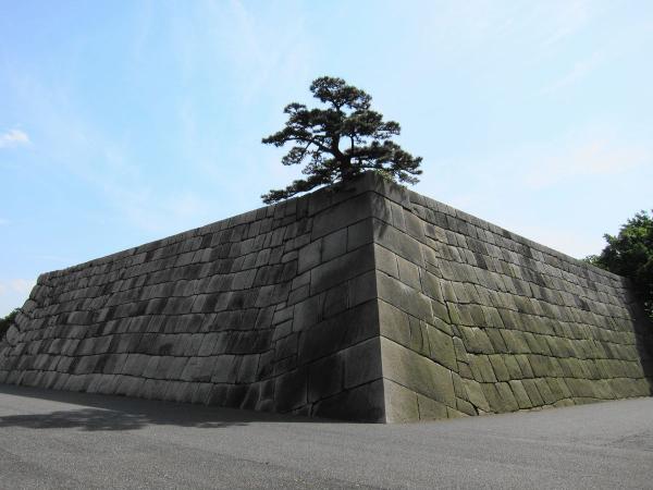 皇居東御苑21〔フリー写真〕