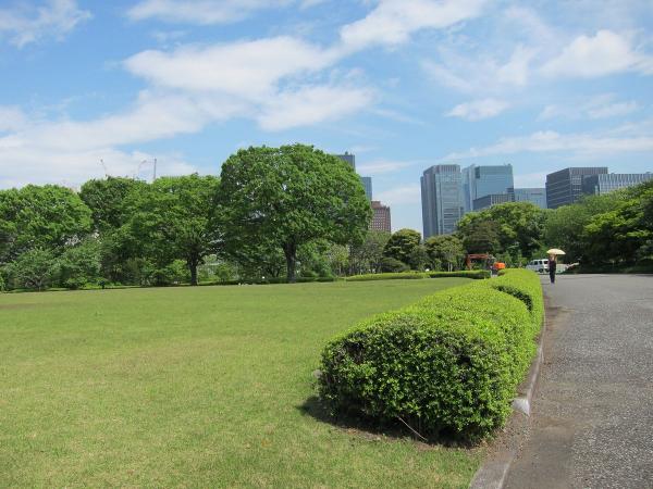 皇居東御苑9〔フリー写真〕