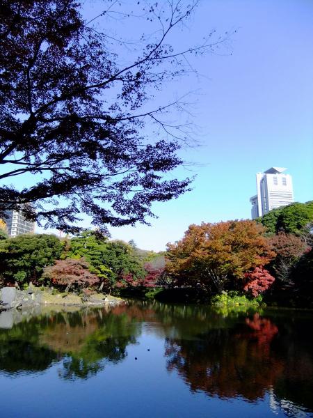 小石川後楽園6〔フリー写真〕