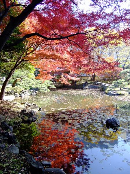 小石川後楽園12〔フリー写真〕