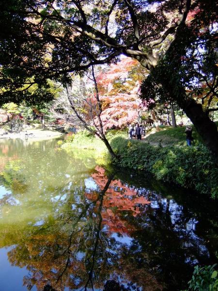 小石川後楽園18〔フリー写真〕