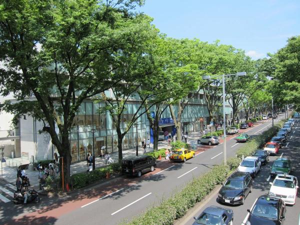 表参道38〔フリー写真〕