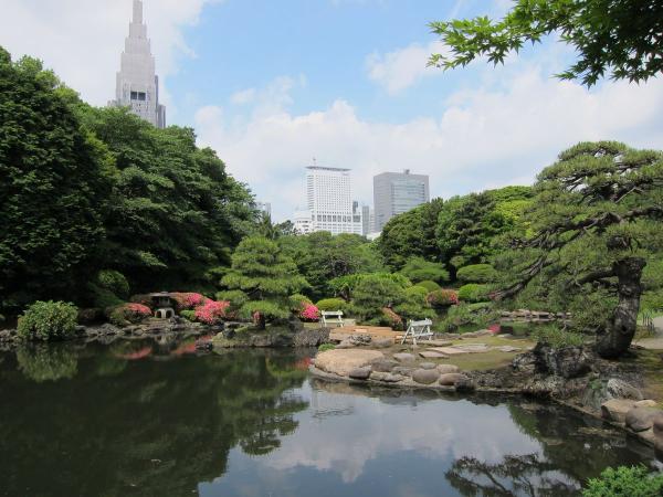 新宿御苑 日本庭園2〔フリー写真〕