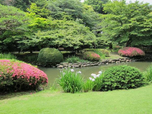 新宿御苑 日本庭園4〔フリー写真〕