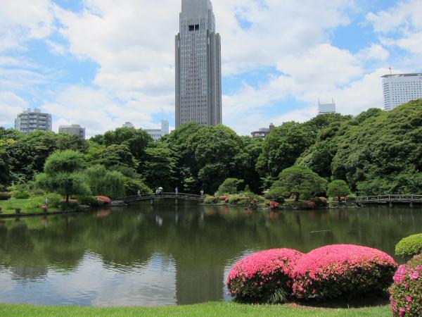 新宿御苑 日本庭園5〔フリー写真〕