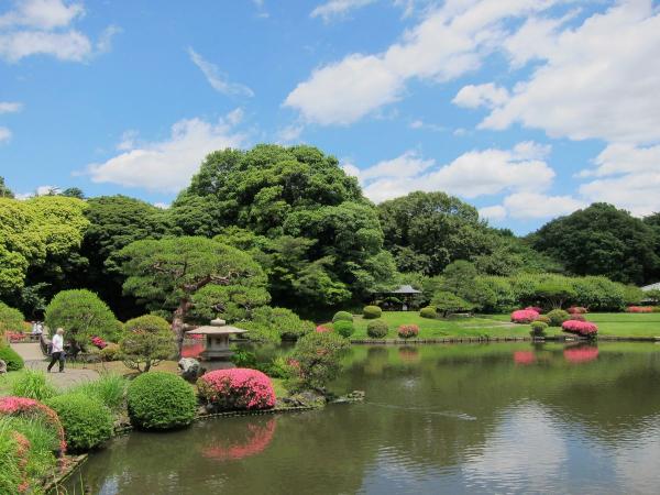 新宿御苑 日本庭園6〔フリー写真〕