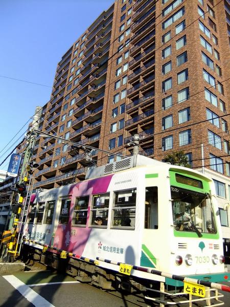 都電荒川線16〔フリー写真〕