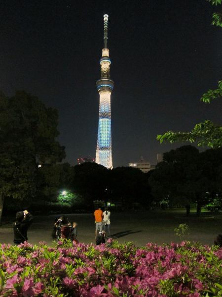東京スカイツリー・ライトアップ1〔フリー写真〕