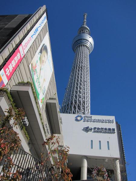 東京スカイツリー17〔フリー写真〕