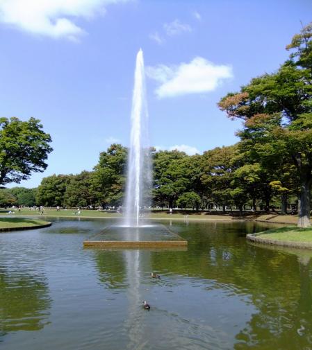 代々木公園 噴水広場4〔フリー写真〕