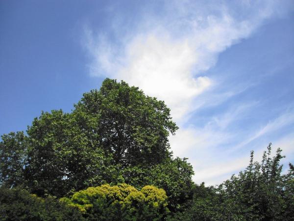 不思議な雲の写真2〔フリー写真〕