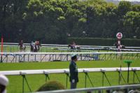 20120429A19D90.jpg