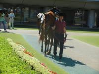 20120507A04S91.jpg