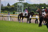 20120611A17D90.jpg